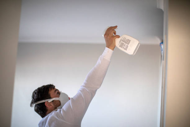 Best Industrial Mold Remediation in Cass City, MI